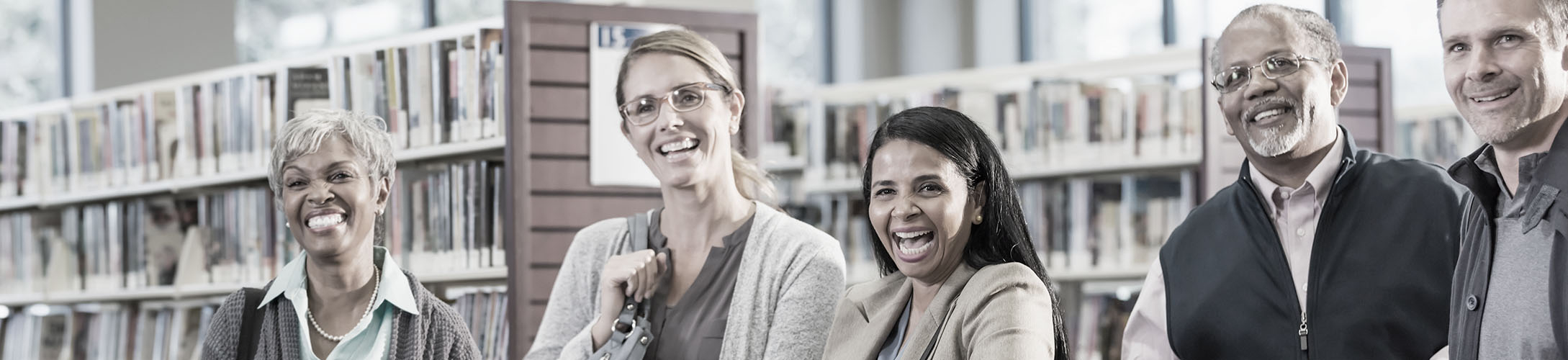 Public Library Solutions Book Systems